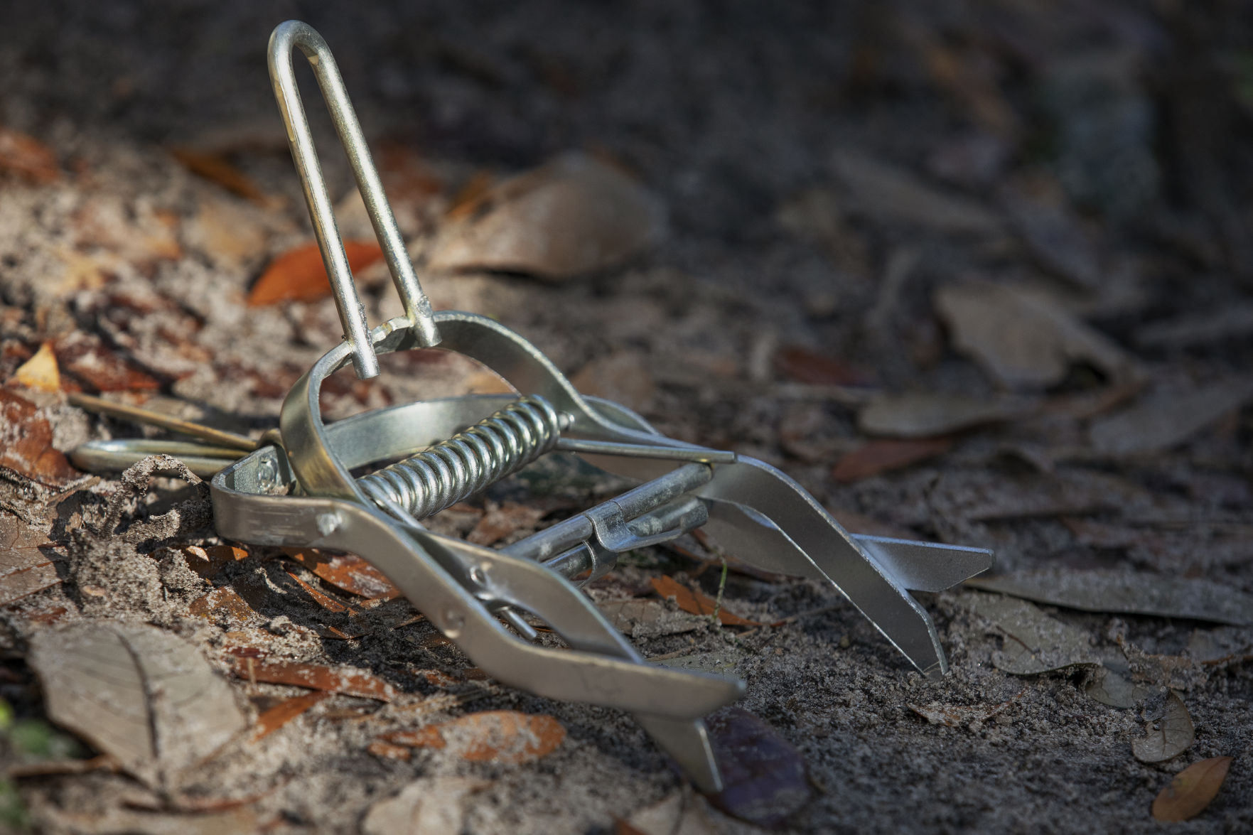 Mole Trap .JPG